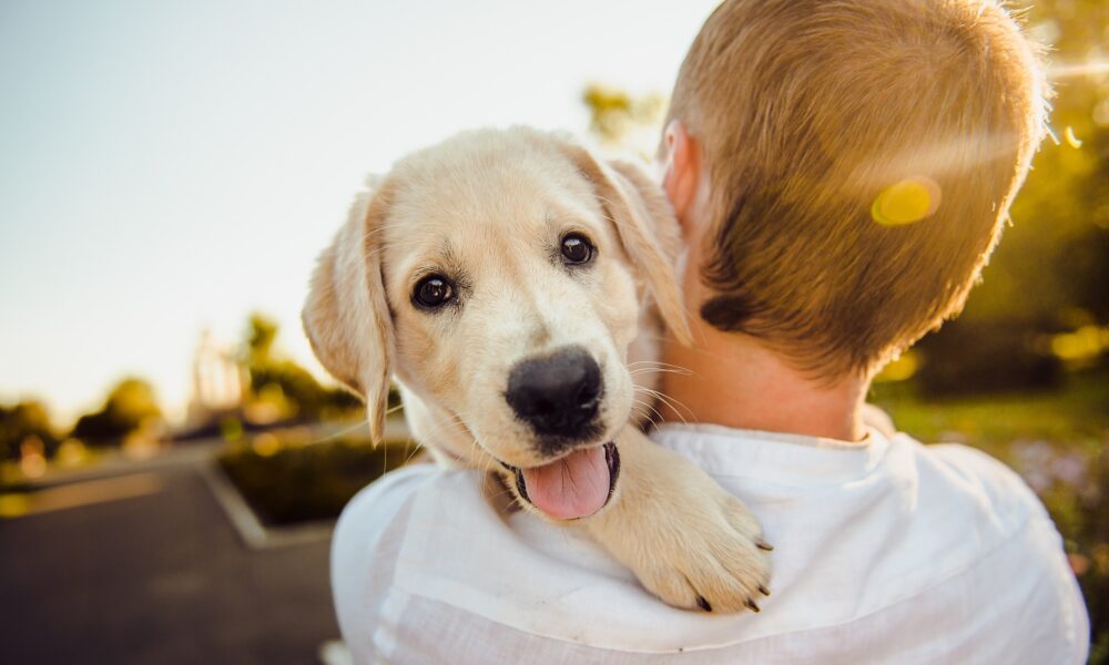 Puppy Love: Tips for Socializing Your New Furry Family Member